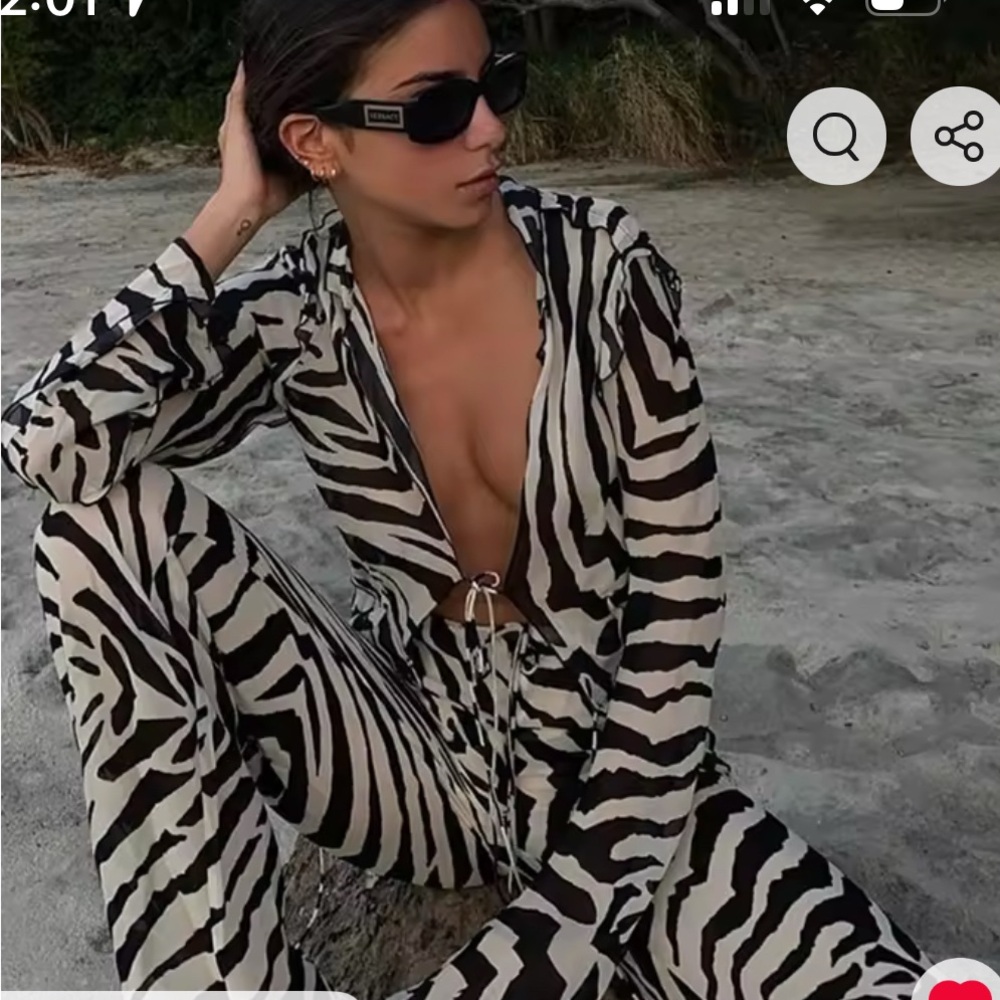 Stylish Zebra Print Sheer Pants set